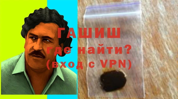 PSILOCYBIN Горно-Алтайск