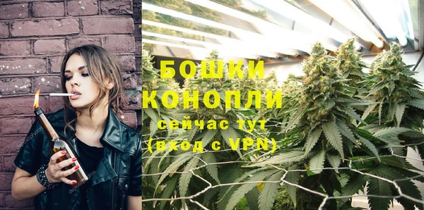 PSILOCYBIN Горно-Алтайск