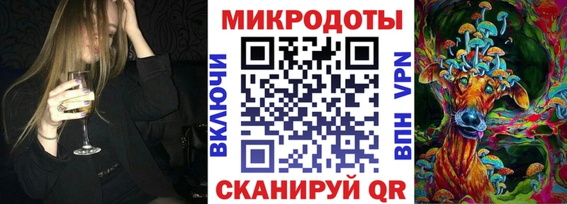 Галлюциногенные грибы Psilocybine cubensis  Благовещенск 
