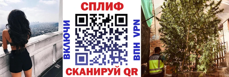 где купить   Благовещенск  Канабис марихуана 